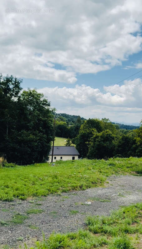 Terrain à YSSINGEAUX