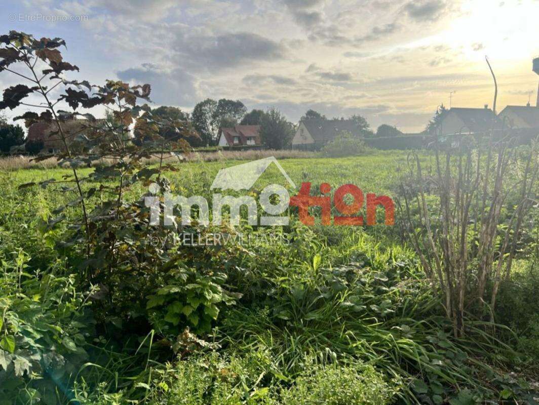 Terrain à FEUQUIERES-EN-VIMEU