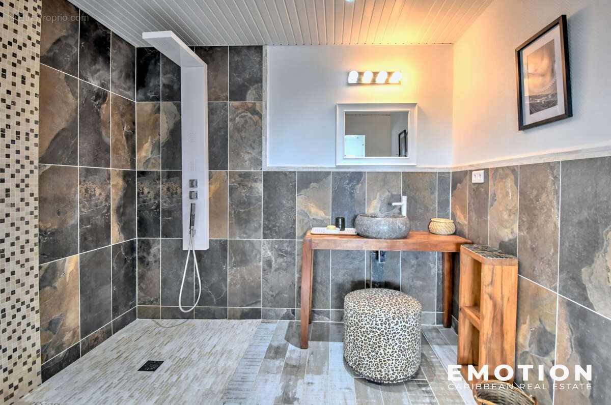 Maison à SAINT-MARTIN