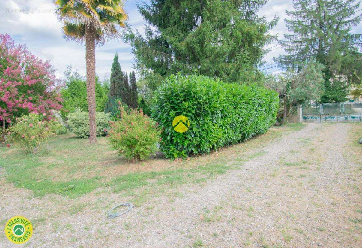 Maison à LE BUISSON-DE-CADOUIN