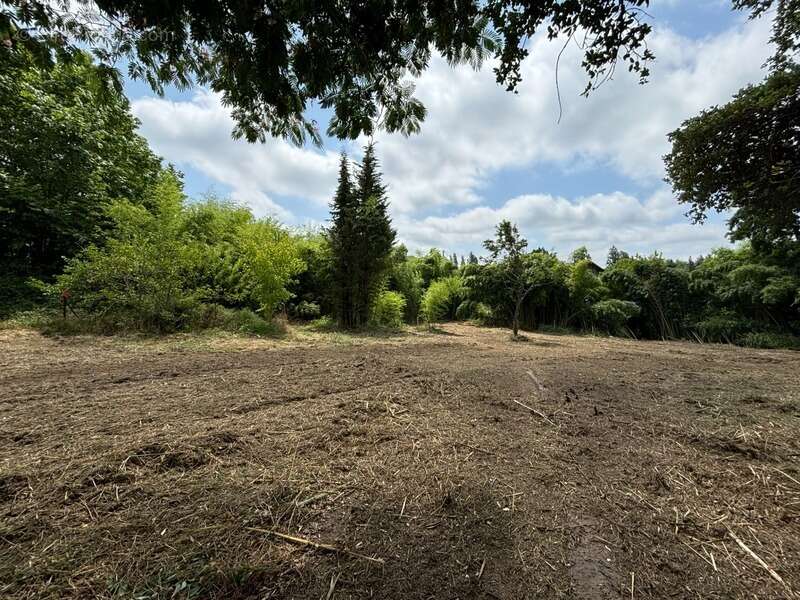 Terrain à RION-DES-LANDES