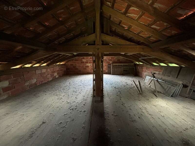 Terrain à RION-DES-LANDES