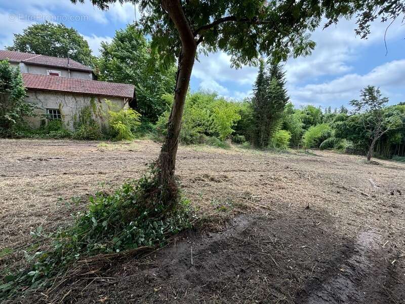 Terrain à RION-DES-LANDES