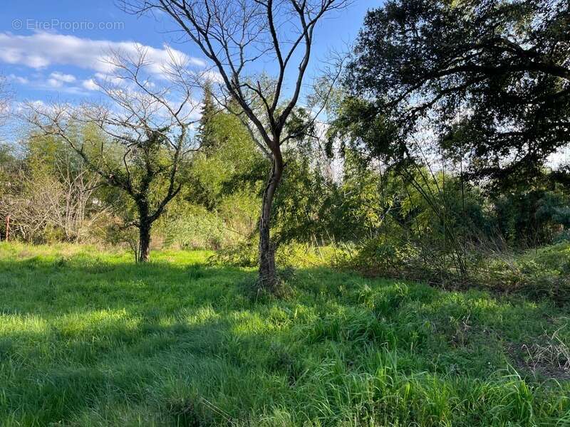 Terrain à RION-DES-LANDES