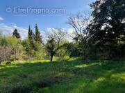 Terrain à RION-DES-LANDES