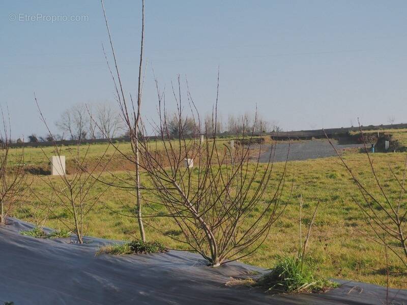 Terrain à BONNEMAISON