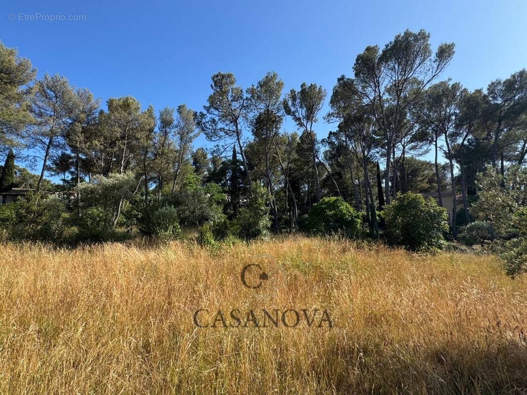 Terrain à MONTFERRIER-SUR-LEZ