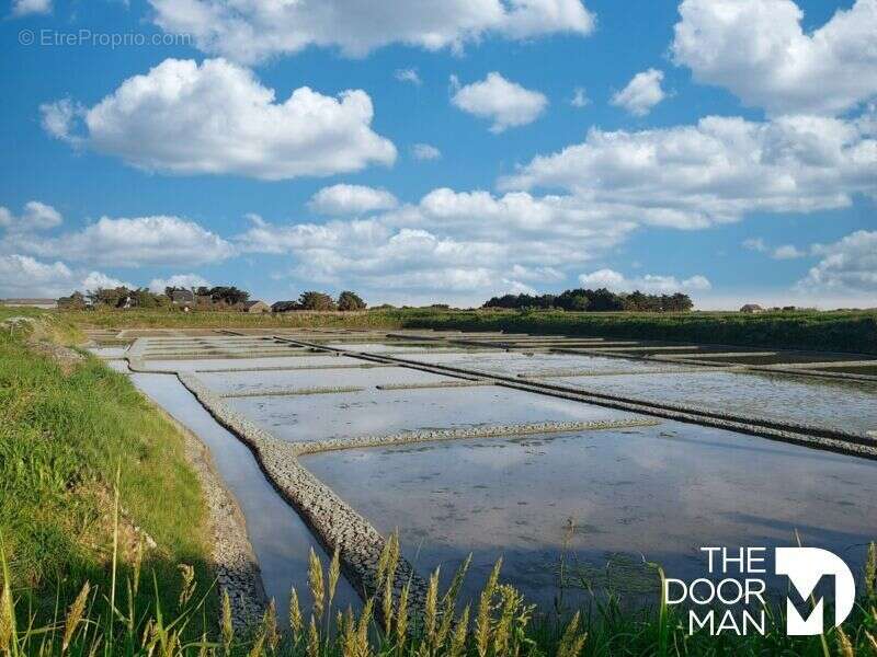 Terrain à LA TURBALLE