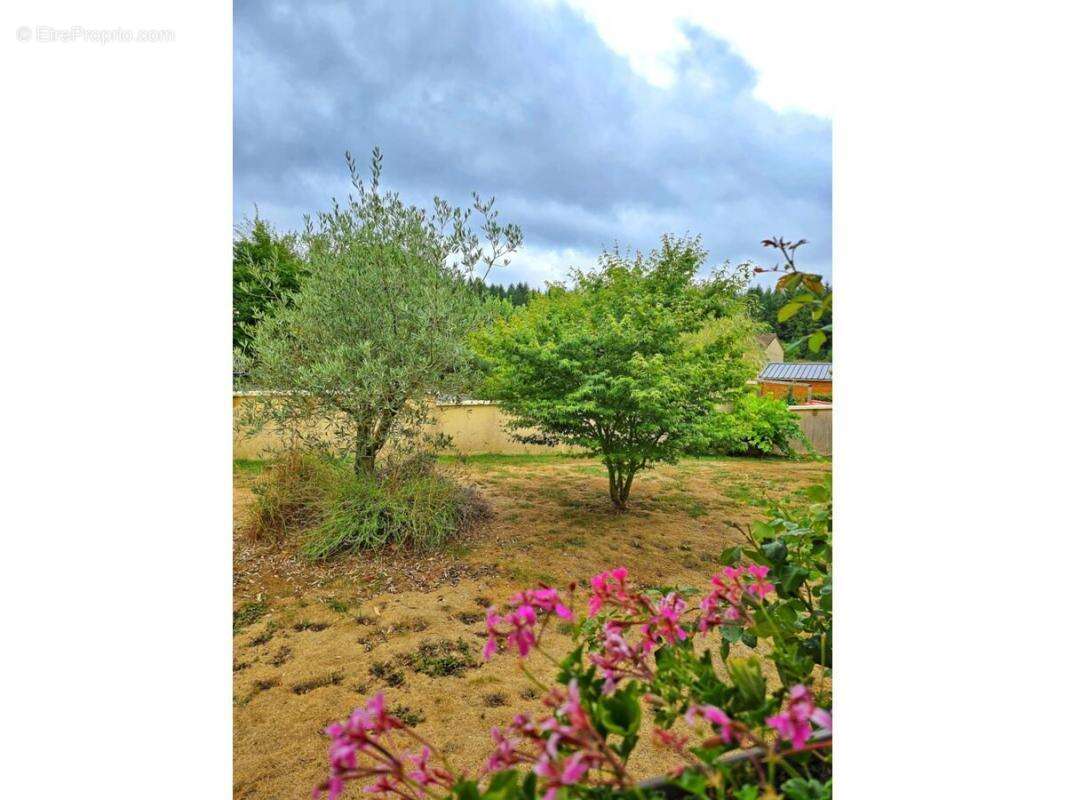 Maison à SAINT-JUST-LE-MARTEL