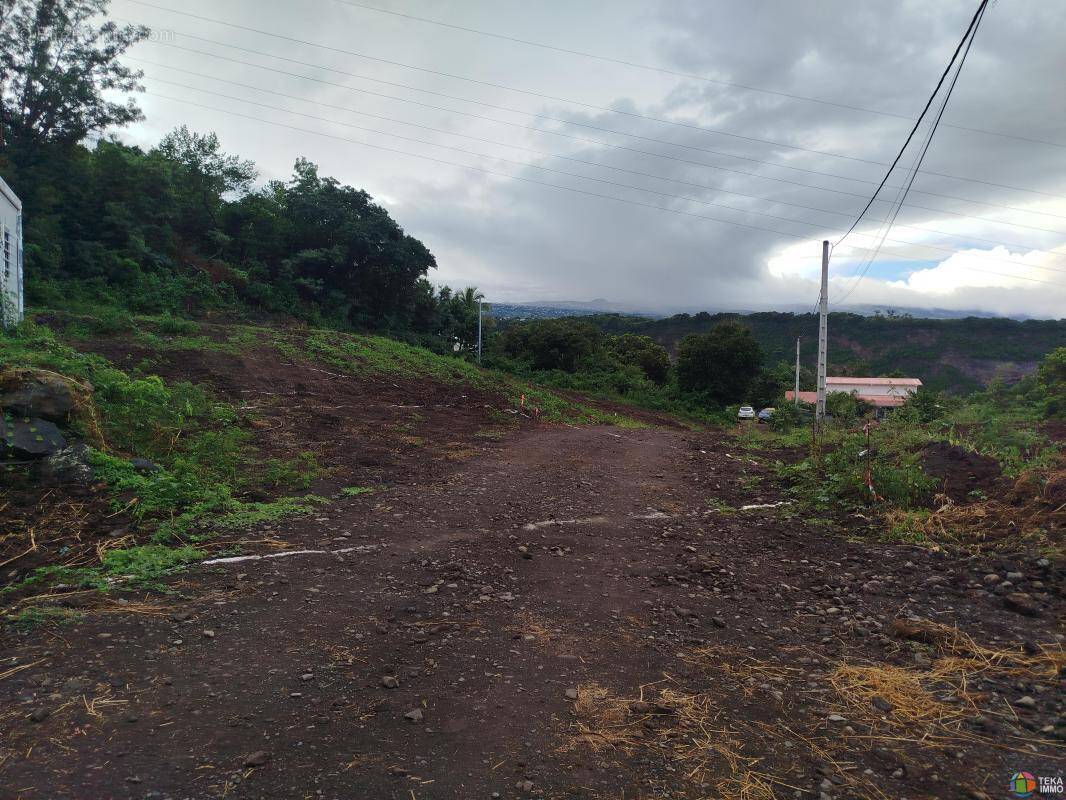 Terrain à SAINT-LOUIS