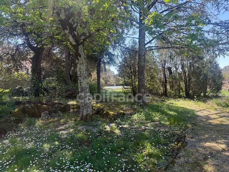 Maison à GENERARGUES