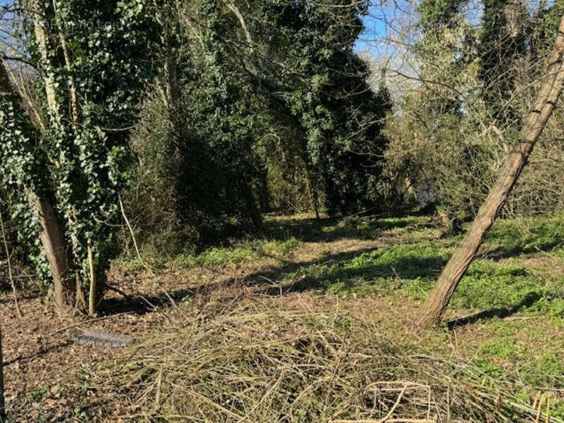 Maison à SAINT-PEY-DE-CASTETS