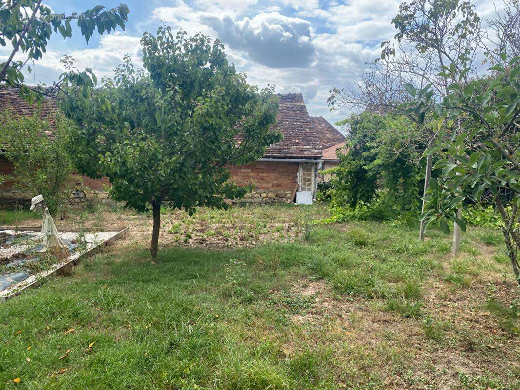 Maison à TOURNON-SAINT-PIERRE