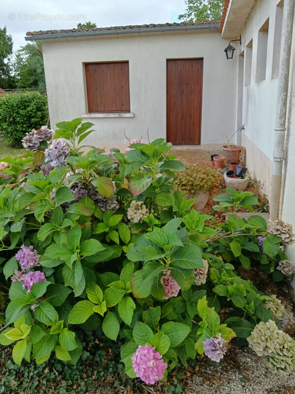 Maison à CEAUX-EN-COUHE