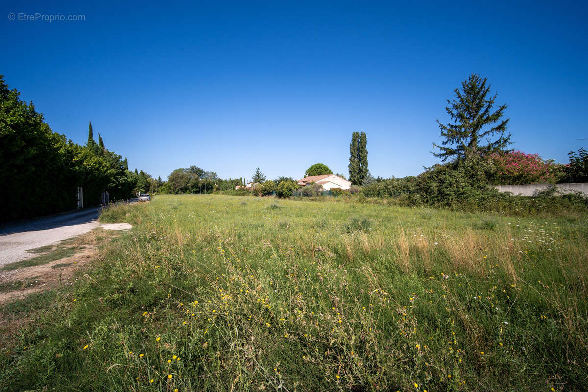 Terrain à FONTVIEILLE