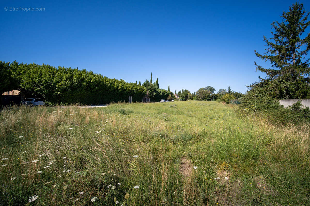 Terrain à FONTVIEILLE