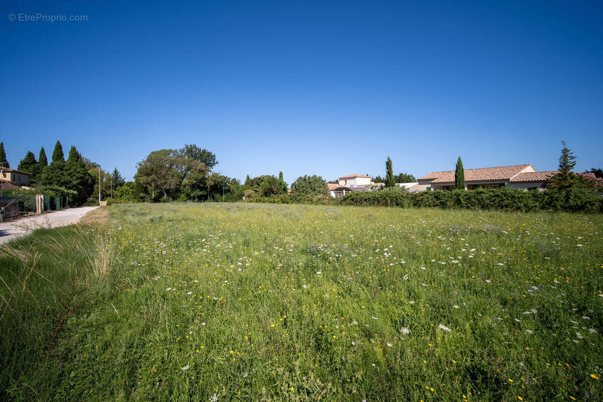 Terrain à FONTVIEILLE