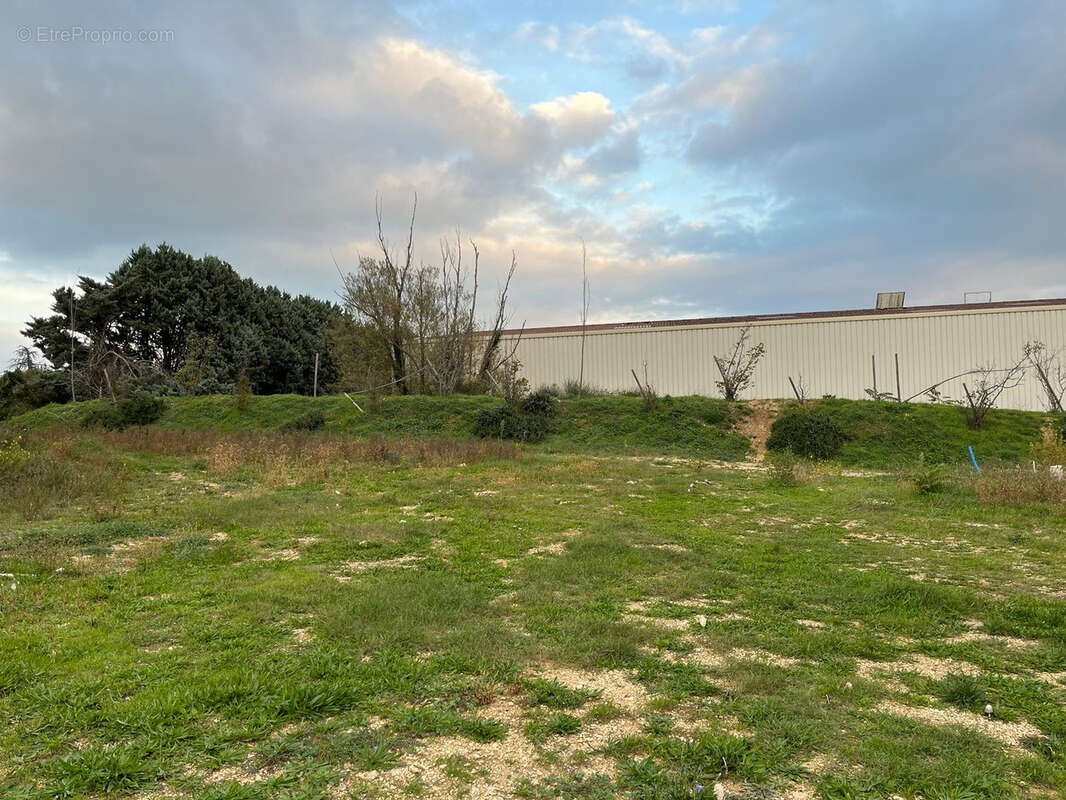 Terrain à SAUZET