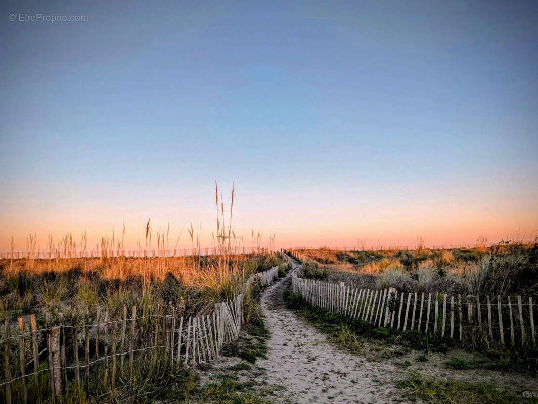 Appartement à BORGO
