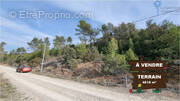 Terrain à TARADEAU