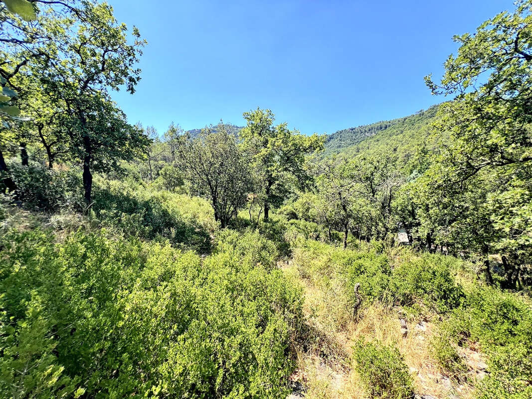 Terrain à BELGENTIER