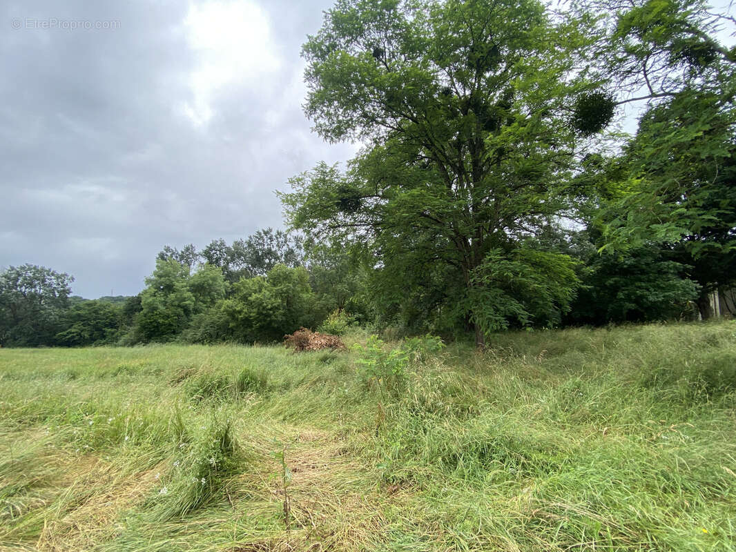 Maison à SAUVETERRE-DE-GUYENNE