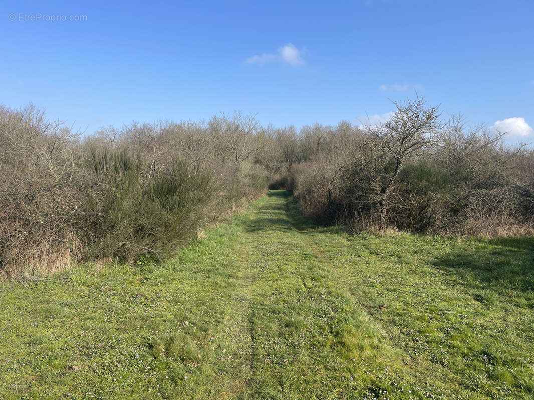 Terrain à LA DOMINELAIS