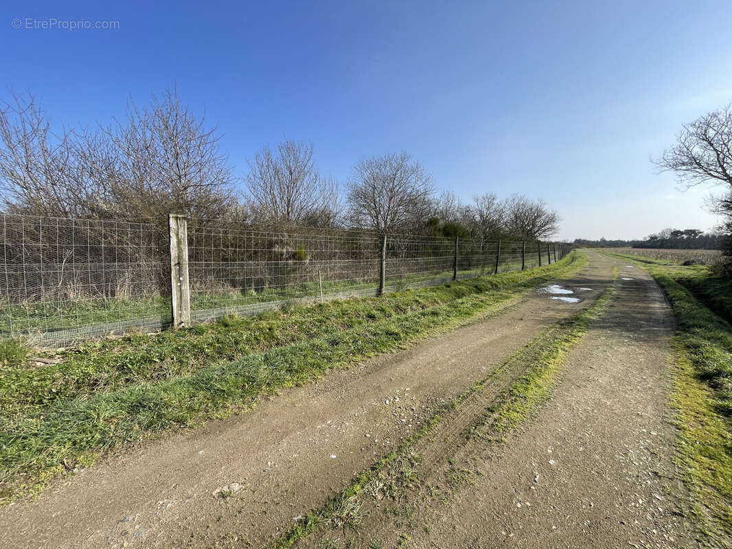 Terrain à LA DOMINELAIS