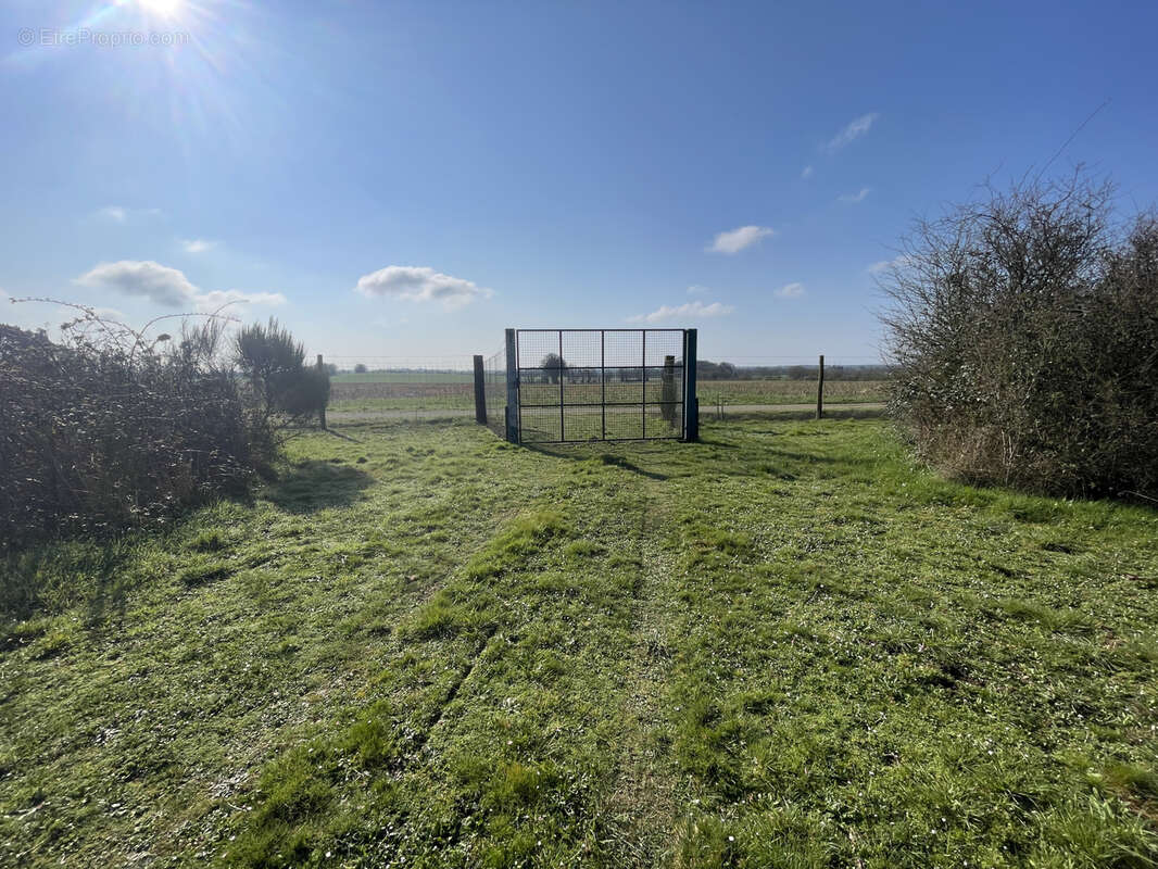 Terrain à LA DOMINELAIS