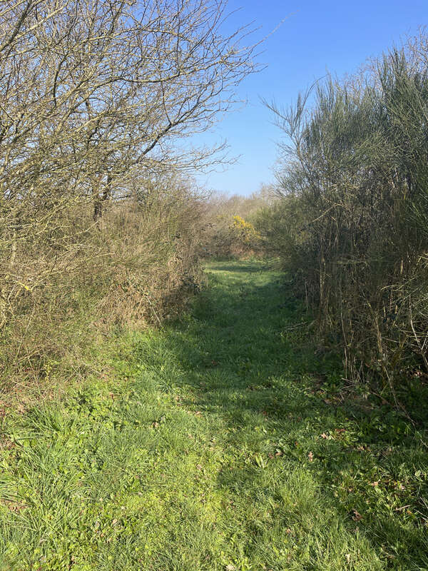 Terrain à LA DOMINELAIS