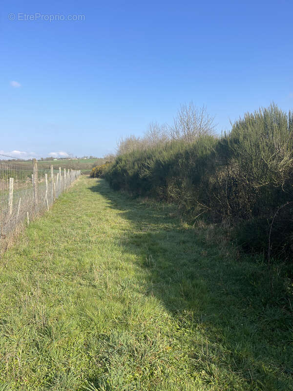 Terrain à LA DOMINELAIS