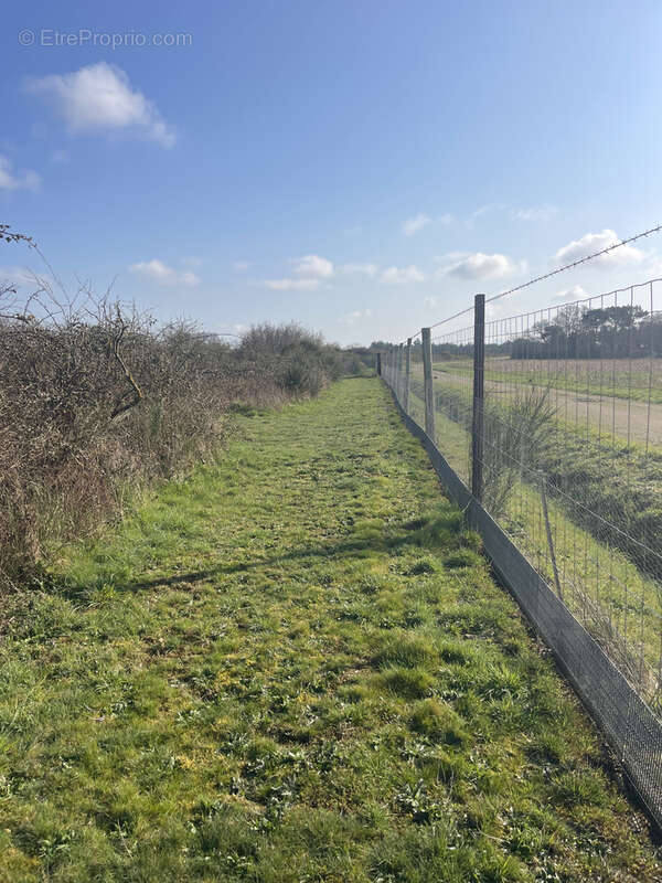 Terrain à LA DOMINELAIS