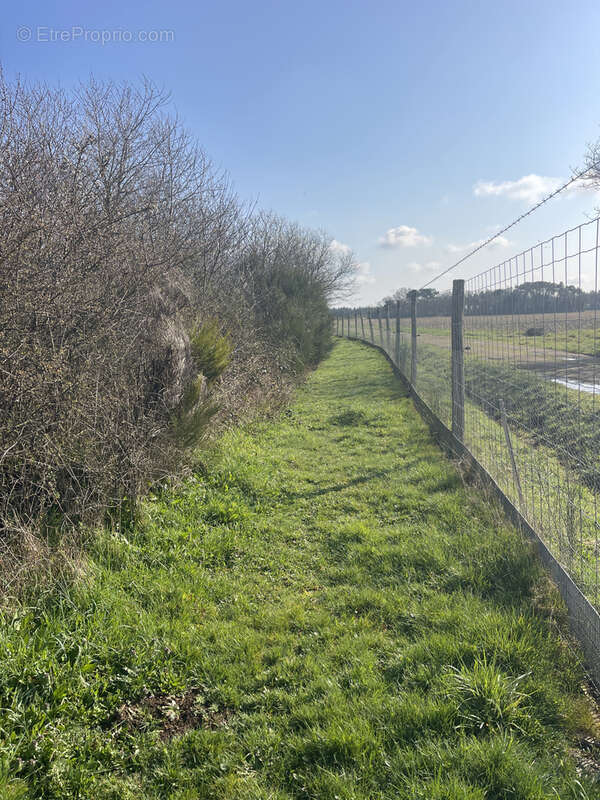 Terrain à LA DOMINELAIS