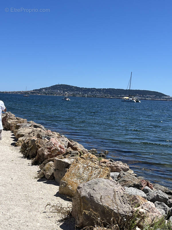 Commerce à BOUZIGUES