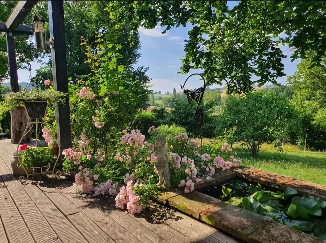 Maison à MONTPEZAT-DE-QUERCY