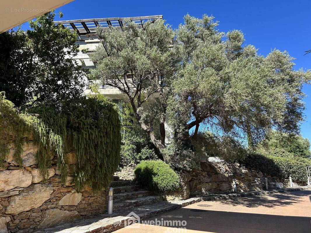 Une résidence &#039;verte&#039; et très appréciée - Appartement à SAN-MARTINO-DI-LOTA