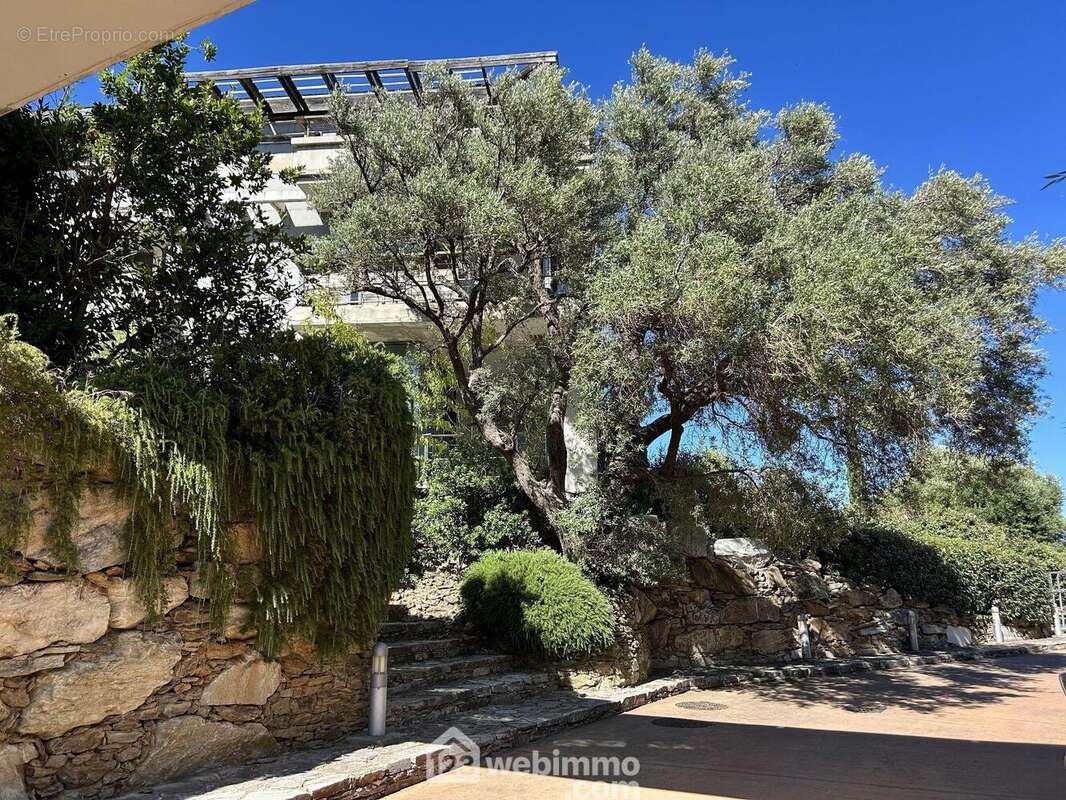 Une résidence &#039;verte&#039; et très appréciée - Appartement à SAN-MARTINO-DI-LOTA