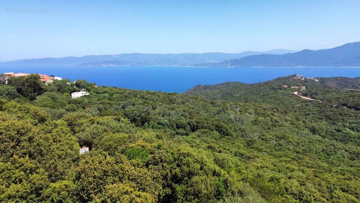 Terrain à BELVEDERE-CAMPOMORO