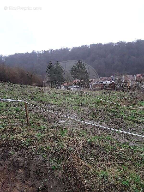 Terrain à HAUCOURT-MOULAINE