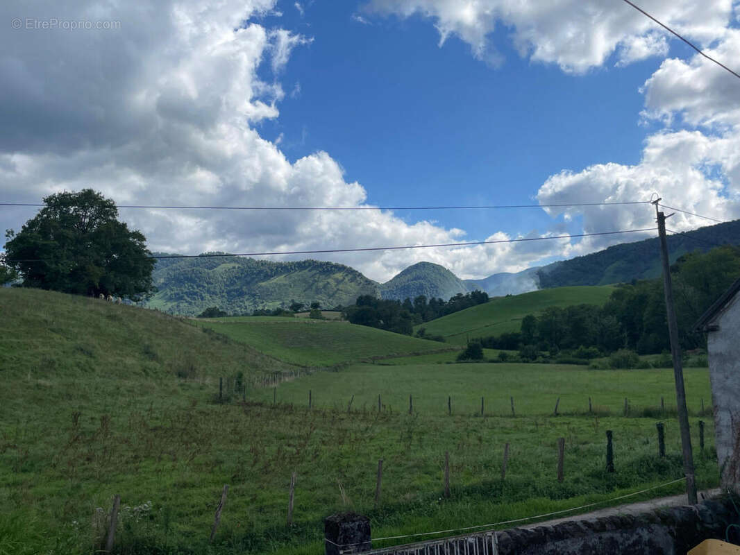 IMG_1940 - Maison à OLORON-SAINTE-MARIE