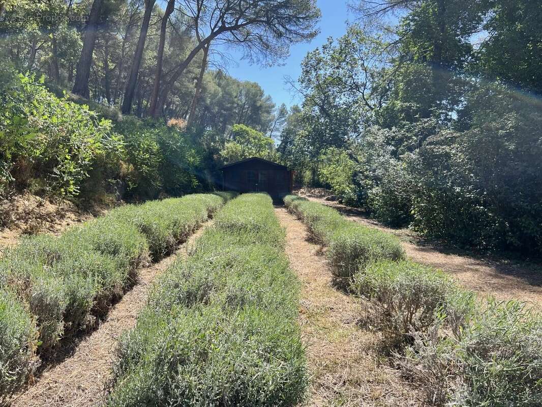 Maison à AIX-EN-PROVENCE
