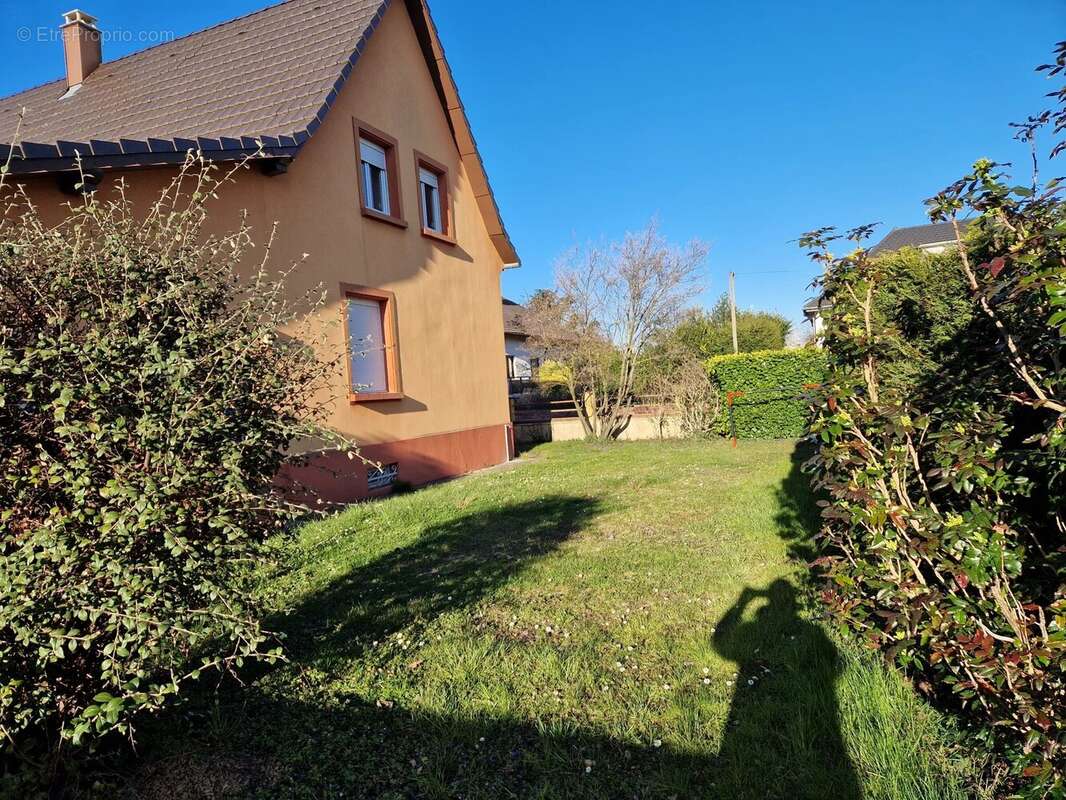 Maison à WITTENHEIM