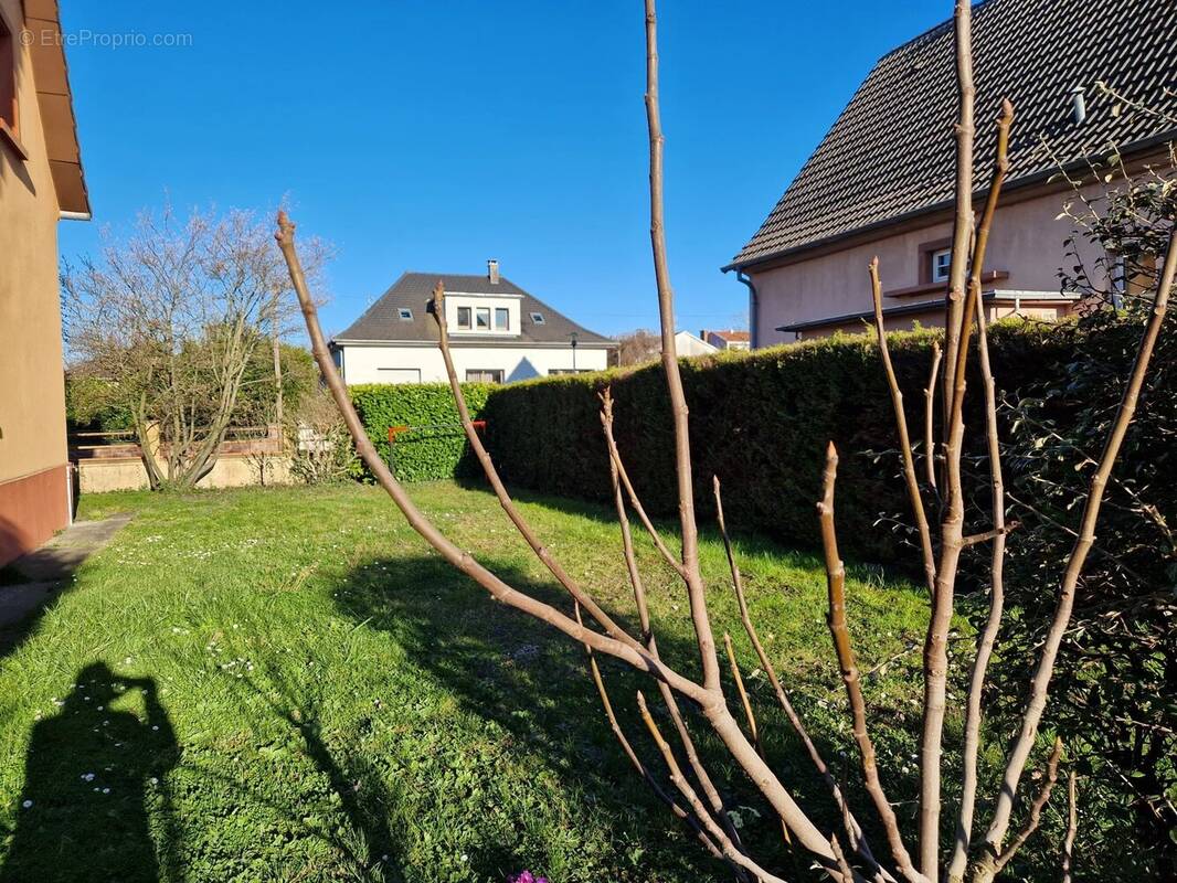 Maison à WITTENHEIM