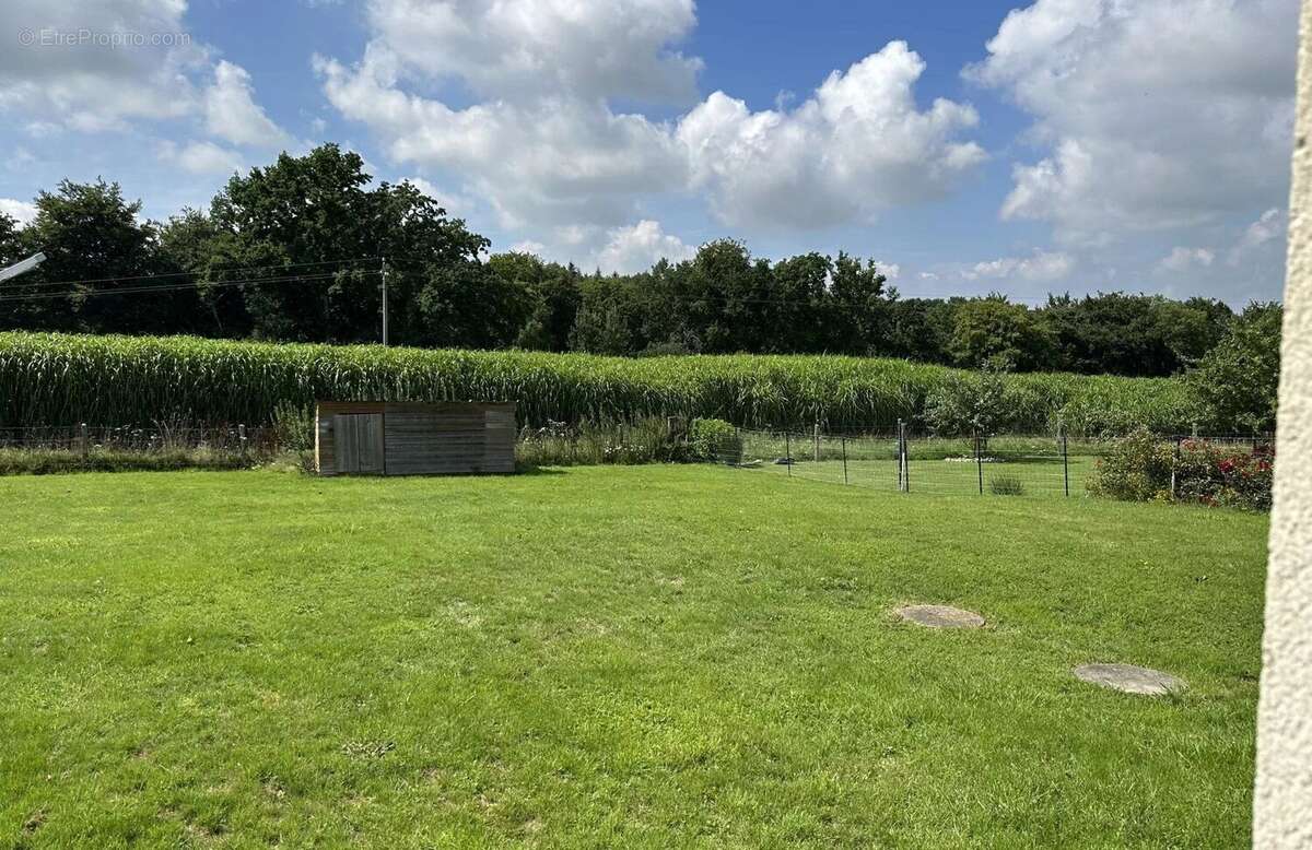 Maison à FORT-MOVILLE