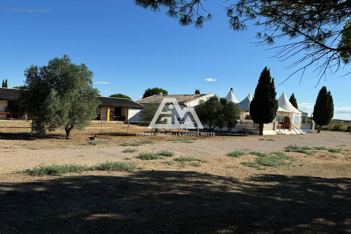 Commerce à SAINT-LAURENT-D&#039;AIGOUZE