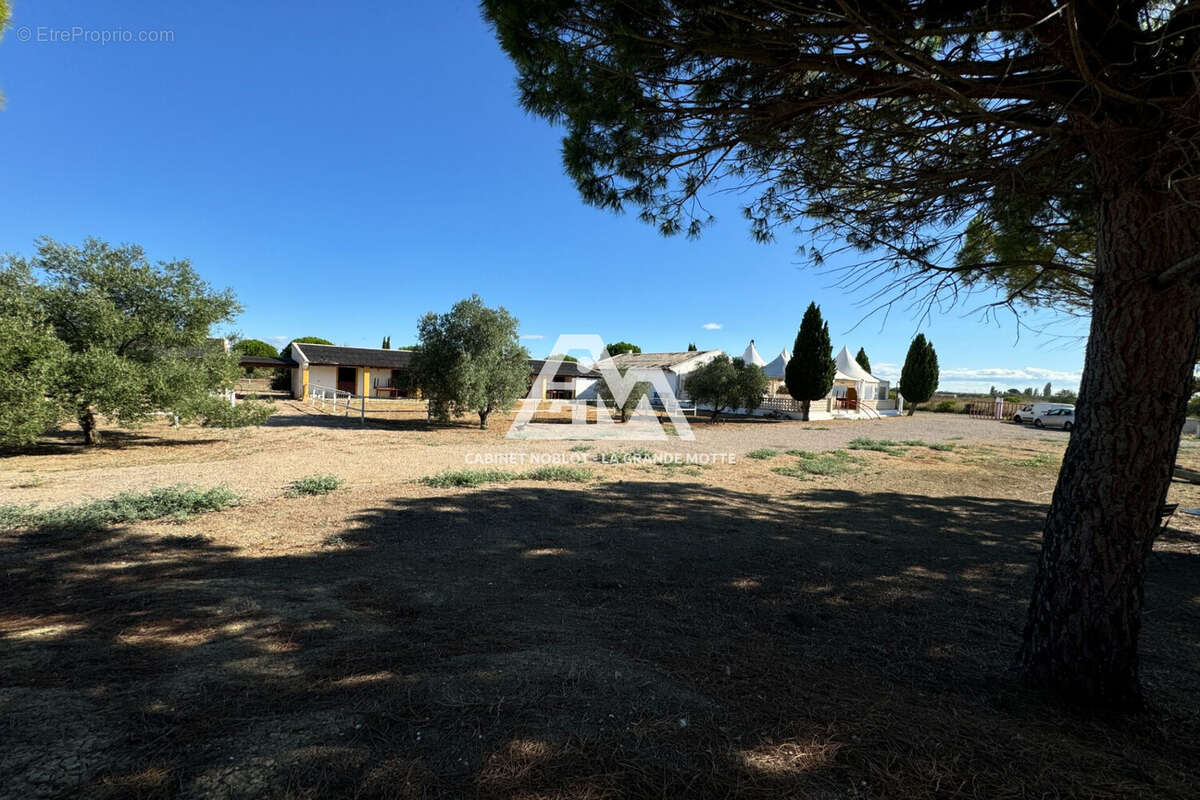 Commerce à SAINT-LAURENT-D&#039;AIGOUZE