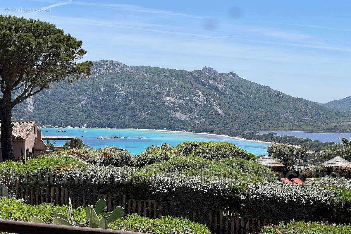 Appartement à PORTO-VECCHIO