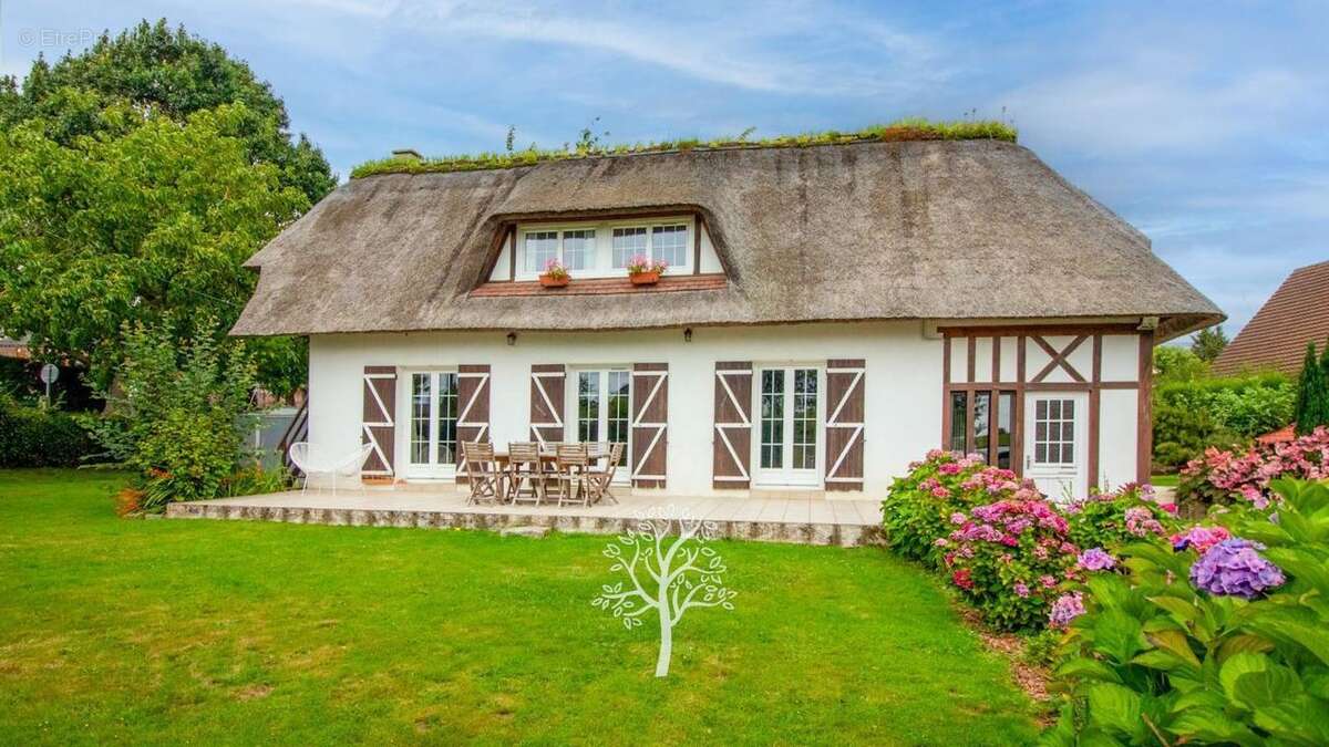 Maison à MESNIL-PANNEVILLE