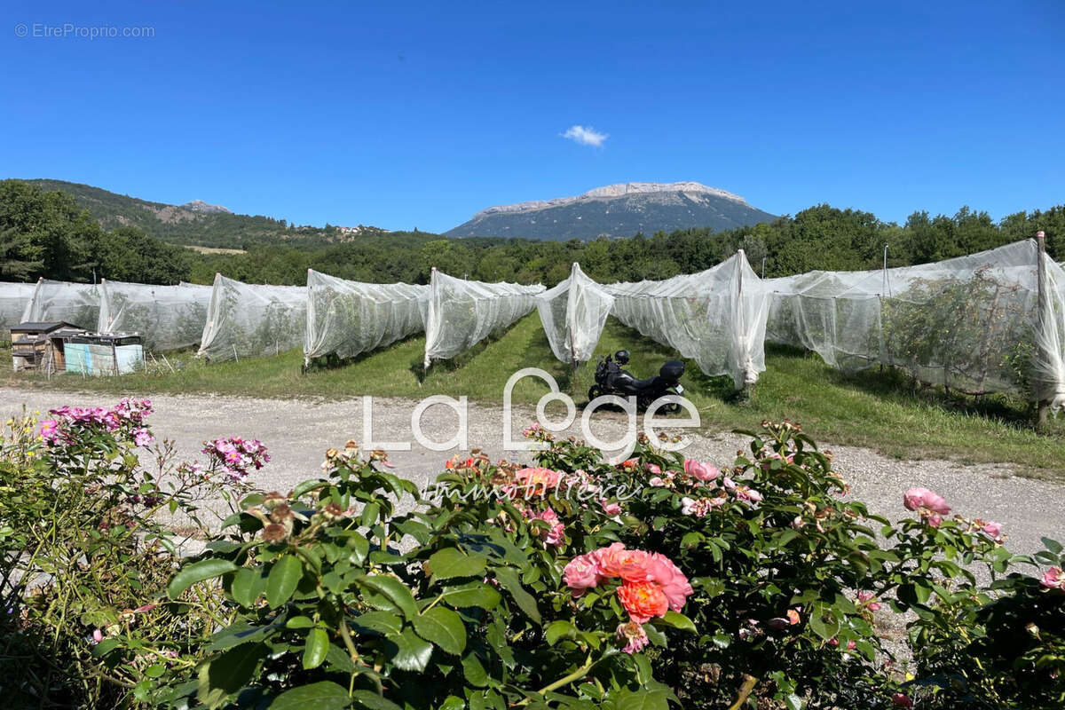 Maison à FOUILLOUSE