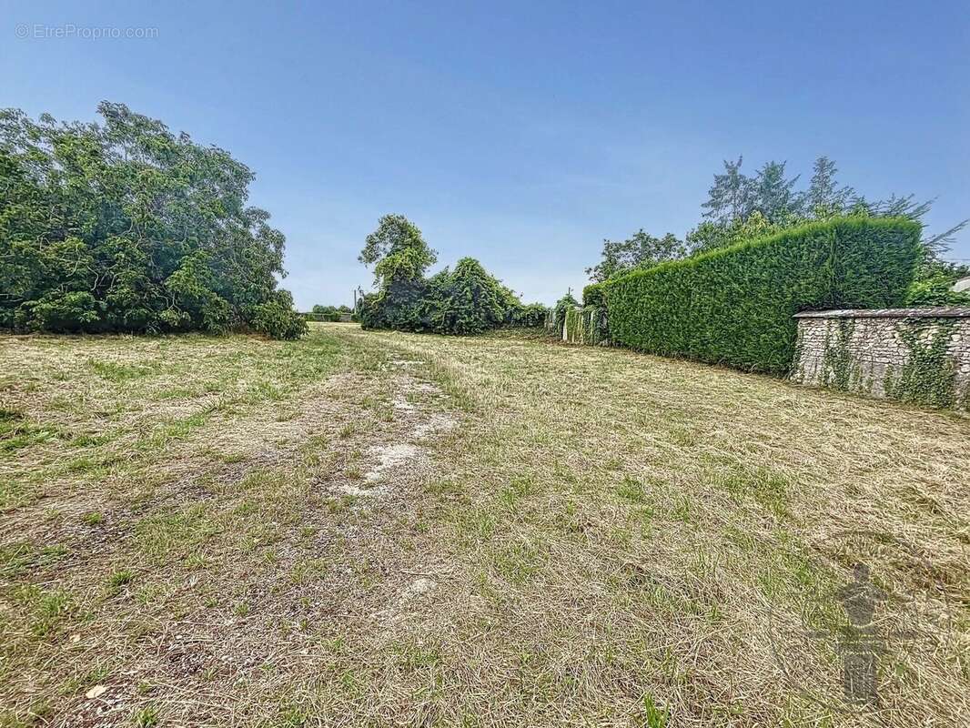 Terrain à ANGERVILLE
